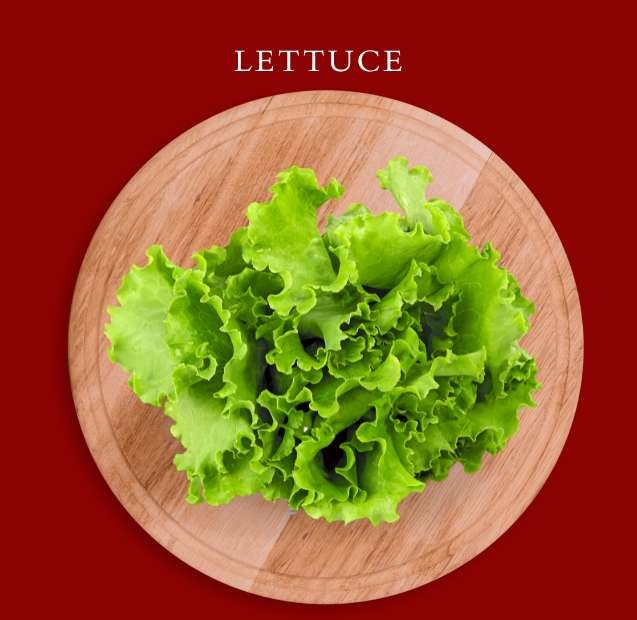 Lettuce