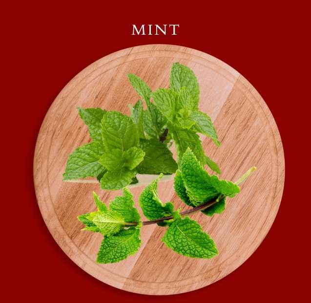 Mint