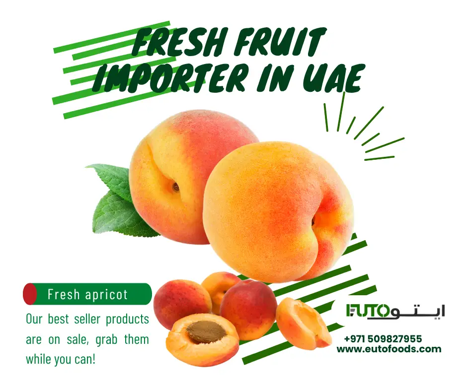 apricot importer dubai