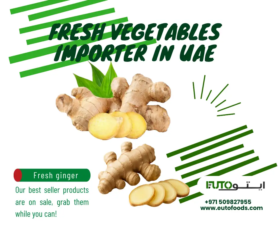 Euto General Trading Ginger Importer in Dubai FAQ Support