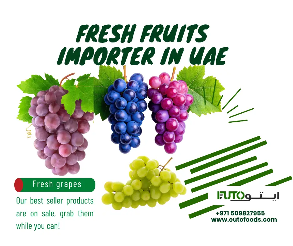 Euto General Trading Grapes Importer in Dubai FAQ Support
