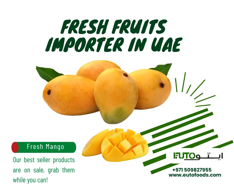 Frequently Asked Questions mango importer dubai