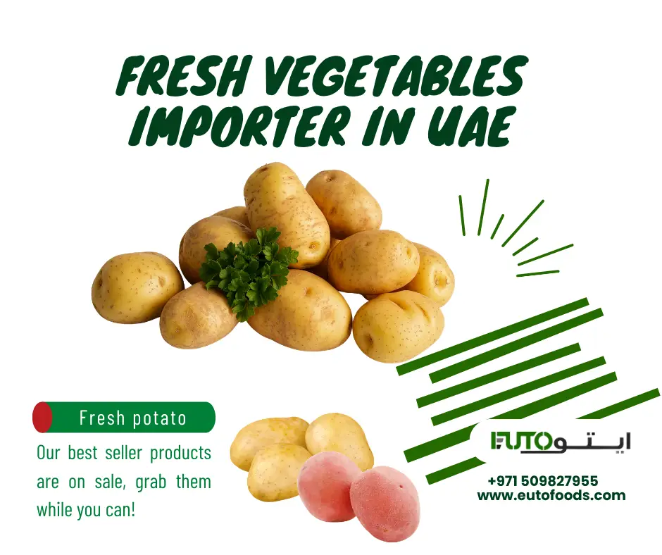 Frequently Asked Questions potato importer dubai