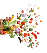 Top Decorative Shape