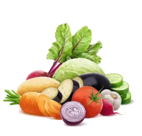 UAE Vegetable Importer Decoration