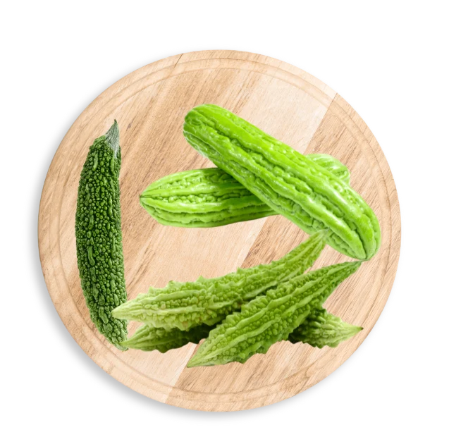 Fresh Bitter Gourd Karela Importer and Supplier in Dubai UAE