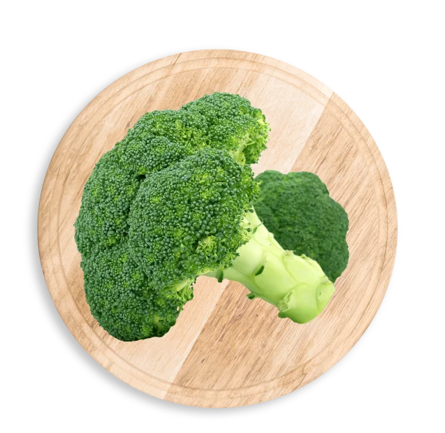 Premium Fresh Broccoli Importer and Wholesale Supplier in UAE