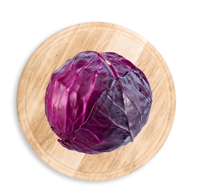 Fresh Purple Cabbage Importer and Wholesale Supplier in Dubai UAE