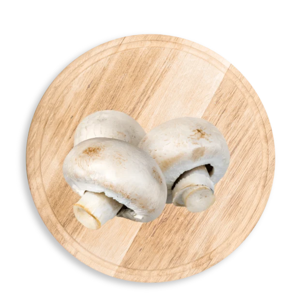 Premium Fresh Mushrooms Importer and Supplier in UAE